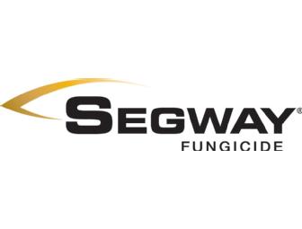 Segway fungicide for Pythium Control -- 1 bottle (treats 1 acre)