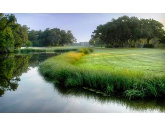 Experience golf on Saint Simons Island, Georgia at the Sea Palms Resort