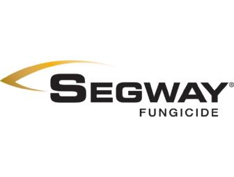 Segway fungicide for Pythium Control -- 3 bottles