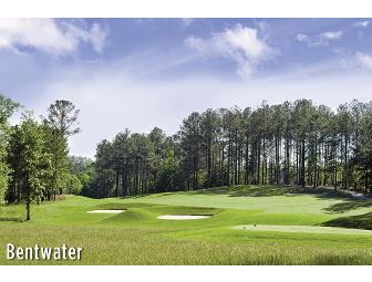 A foursome at your choice of 1 of 15 Canongate Courses like Heron Bay Golf Club in GA.