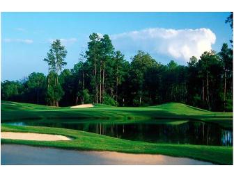 A foursome at your choice of 1 of 15 Canongate Courses like Georgia National Golf Club in GA.