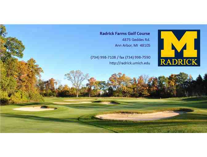 A foursome at the Radrick Farms Golf Course in MI.
