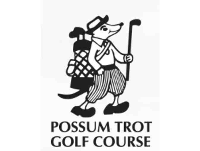 A foursome of golf at Possum Trot Golf Club in SC.