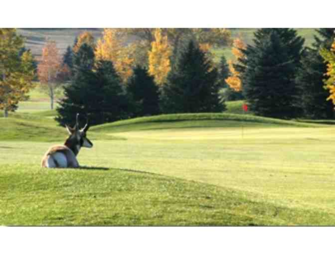Douglas Community Club and Golf Course - One foursome with carts