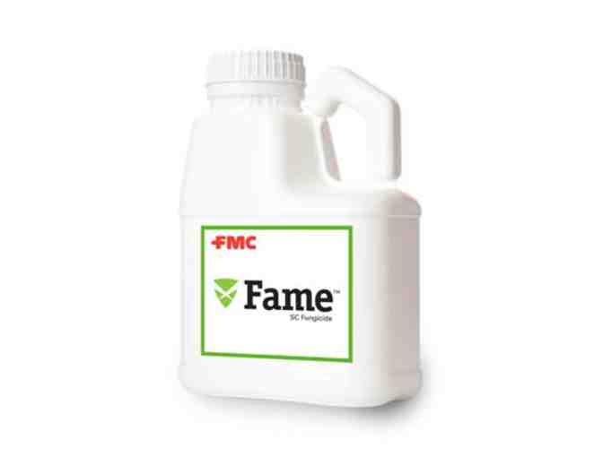 Fame SC Fungicide - 4 units