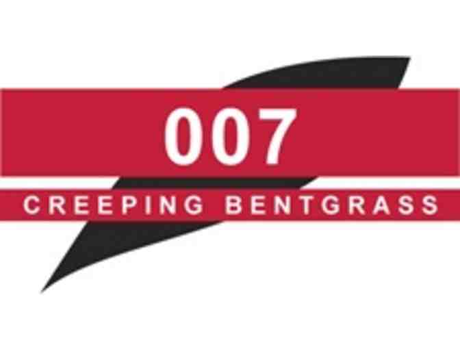 150 lbs of Grass Seed - six 25 lb. buckets