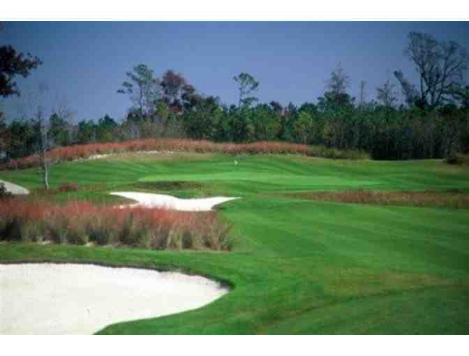 Barefoot Resort and Golf - One foursome with carts