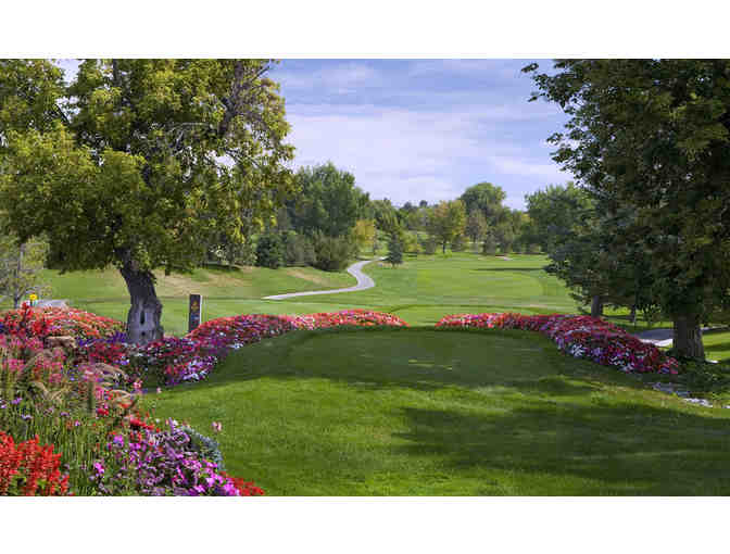 The Greg Mastronia Golf Courses at Hyland Hills - One foursome with drinks