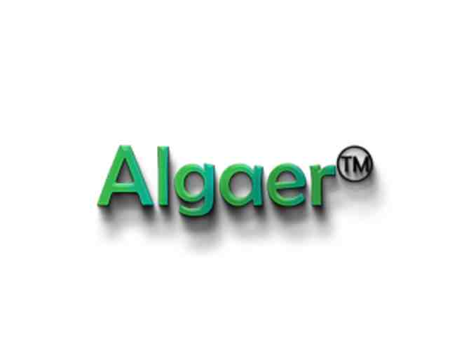 Algaer