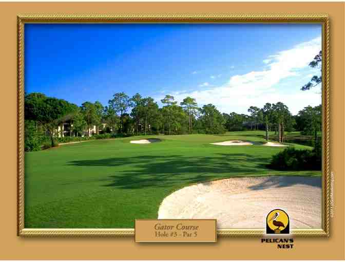 Pelican's Nest Golf Club - One foursome with carts