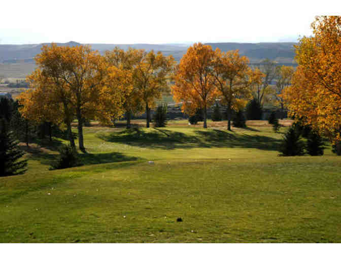 Douglas Community Golf Course - One foursome with carts
