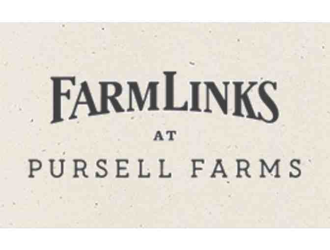 FarmLinks Golf Club - One foursome with carts and practice facility use