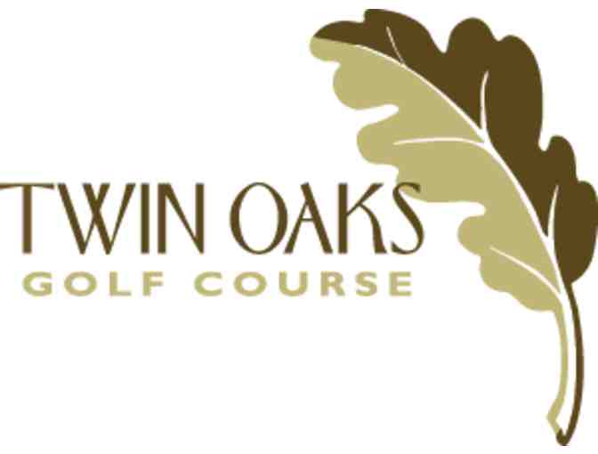 Twin Oaks Golf Course - A foursome with carts