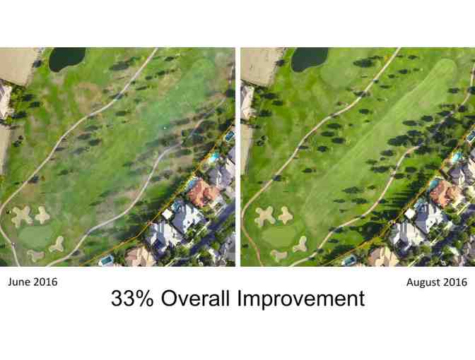 Aerial Mapping of One (1) 18-Hole Golf Course Using Near-InfraRed & Visible Light