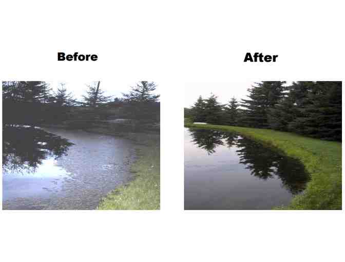 Algaer - 55-lb. / 25-kg pail