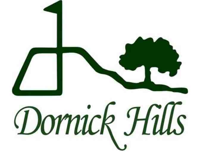Dornick Hills Golf & Country Club - a foursome with carts and range balls