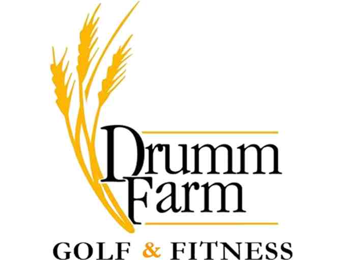 Drumm Farm Golf Club - One foursome with carts