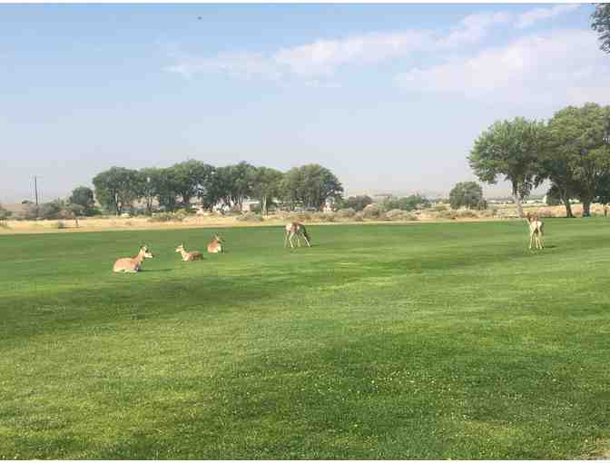 Riverview Golf Course - One foursome with carts