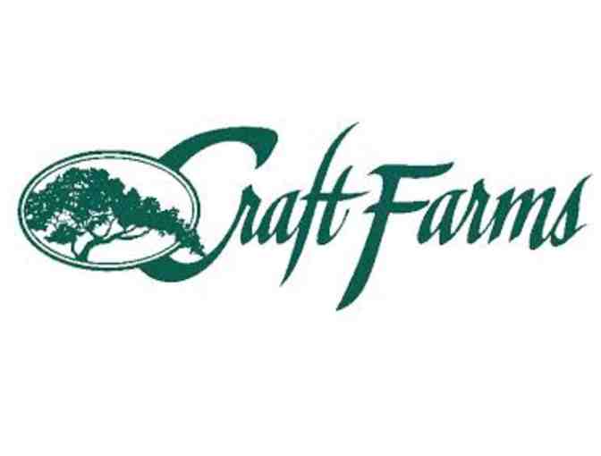 Craft Farms - One foursome with carts
