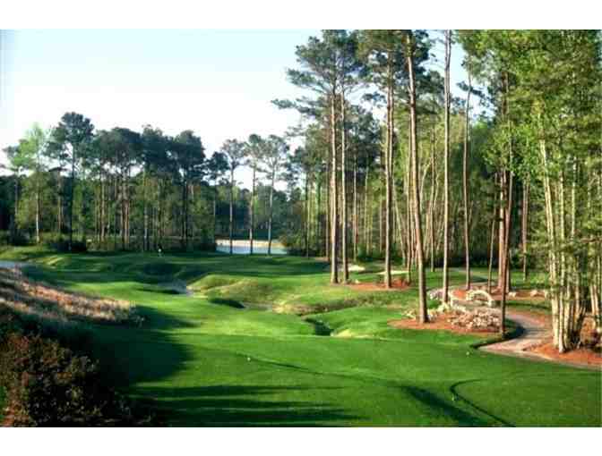 Caledonia Golf and Fish Club - One foursome with carts and green fees