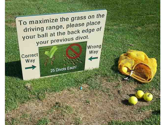 2 HDPE/Routed Plastic Divot Pattern Signs - Photo 1