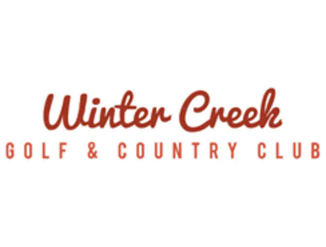 Winter Creek Golf and Country Club - a foursome with carts