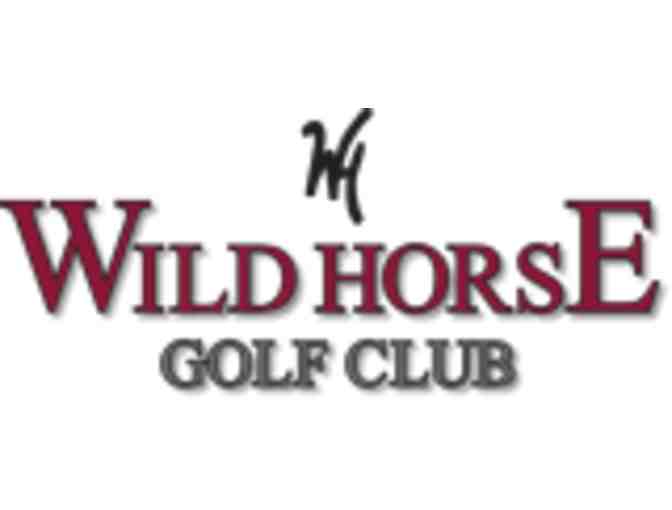 Wild Horse Golf Course - One foursome with carts - Photo 1