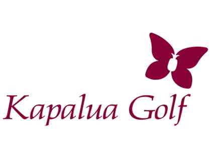 Kapalua Golf - One foursome