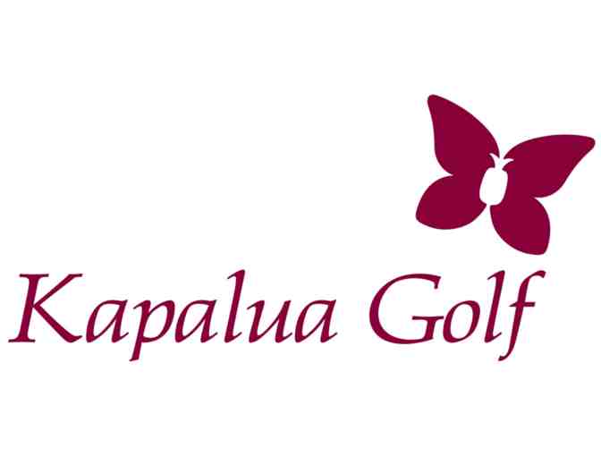 Kapalua Golf - One foursome - Photo 1