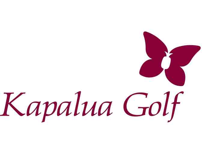 Kapalua Golf - One foursome - Photo 2