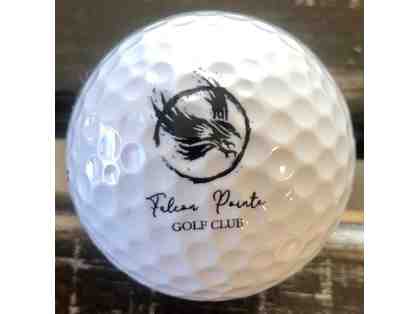 Falcon Pointe Golf Club - One foursome with range balls