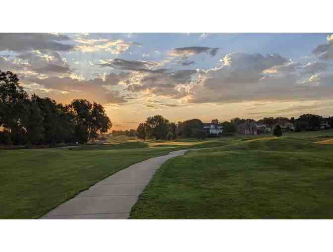 Eagle Run Golf Course - One foursome with carts (9 holes)