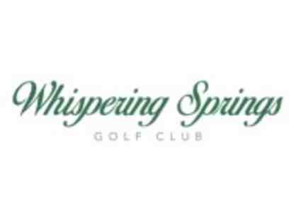 Whispering Springs Golf Club - One foursome