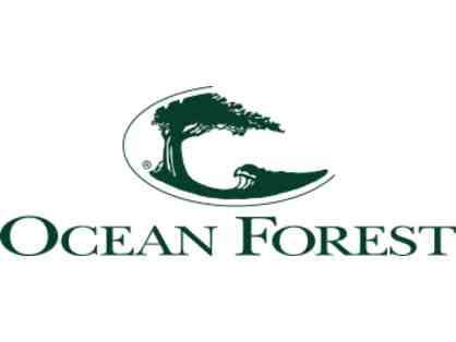 Ocean Forest Golf Club - One foursome