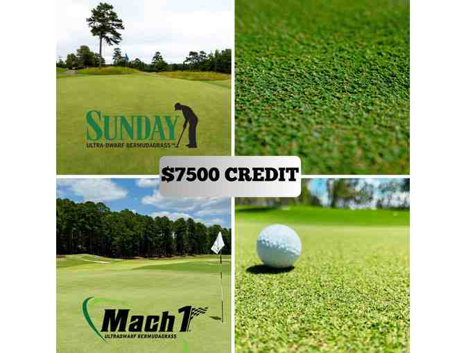 Credit Towards a 18-hole Greens Renovation in Mach1 or Sunday Ultradwarf Bermudagrasses - Photo 1
