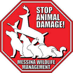 Messina Wildlife Management