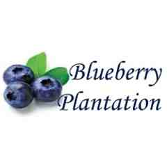 Blueberry Plantation Golf & Country Club