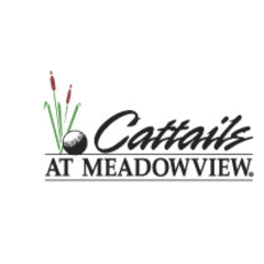 Cattails at MeadowView