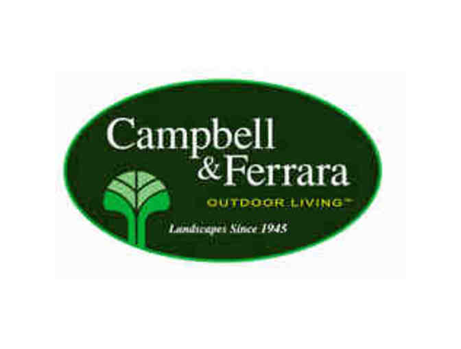 Campbell & Ferrara (Alexandria, VA) - Landscaping Gift Certificate