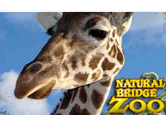 Natural Bridge Zoo Pass - One Free Child Admission with Paying Adult #1