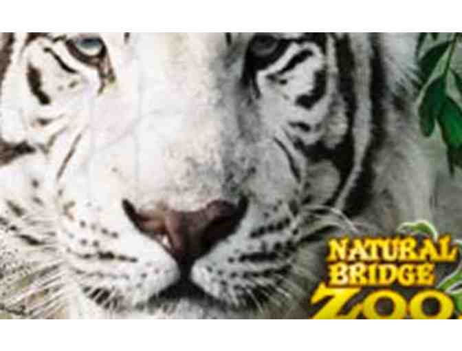 Natural Bridge Zoo Pass - One Free Child Admission with Paying Adult #2