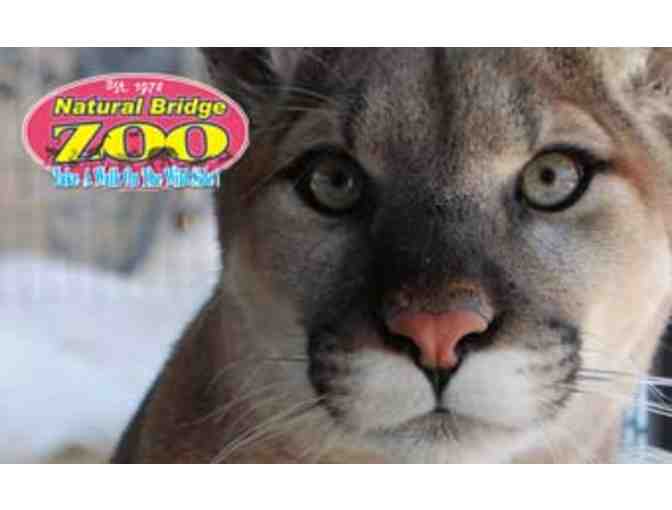 Natural Bridge Zoo Pass - One Free Child Admission with Paying Adult #3
