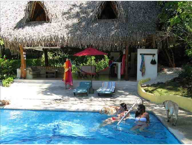 7 Night Stay in a Private Family Home in Amazing Nosara, Costa Rica - Photo 1
