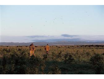 Argentina Luxury Adventure  Dove Hunting Vacation for Four