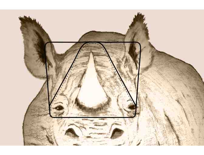 Mini Rhino Bag Iraca/Apple Skin Black