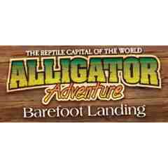 Alligator Adventure