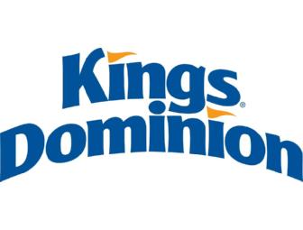 SAVE $20 per person, up to 6 people!!  Bid opens at $5.  Admission at KINGS DOMINION