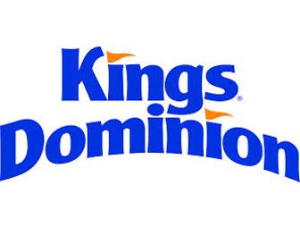 SAVE $20 per person, up to 6 people!!  Bid opens at $10.  Admission at KINGS DOMINION
