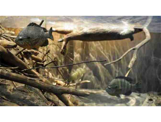 Bring the whole family!  ROBINSON  NATURE  CENTER