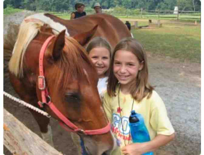 Fund the Mission: Send a Girl to Camp Summer 2016